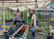 Polisi di Lombok Barat Sulap Pekarangan Warga Jadi Sumber Pangan