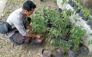 Sinergi Polri dan Warga Bengkel Kelola Lahan Produktif