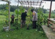 Bhabinkamtibmas Edukasi Warga Manfaatkan Lahan Produktif