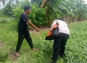 Polsek Sekotong Kawal Program Ketahanan Pangan di Lombok Barat