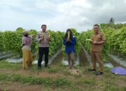 Dukung Ketahanan Pangan, Bhabinkamtibmas Desa Tatar Tinjau Pemanpaatan Lahan Produktif Warga bersama Pemerintah Desa