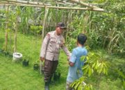 Dukung Ketahanan Pangan, Polsek Batulayar Motivasi Petani Lokal