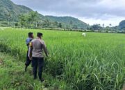Dukung Ketahanan Pangan, Bhabinkamtibmas Desa Sampe Ajak Warga Ubah Pekarangan Jadi Kebun Sayur