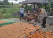 Polri Dampingi Petani Labuapi Percepat Swasembada Pangan