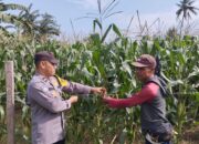 Polsek Kempo Pantau Lahan Jagung Warga Dukung Ketahanan Pangan Nasional Menuju Indonesia Emas 2045