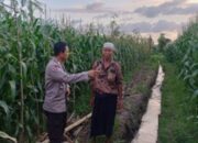 Sinergi Polri dan Warga Gerung: Mengoptimalkan Potensi Lokal untuk Menjaga Ketahanan Pangan Nasional