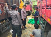 Pengiriman Sapi di Pelabuhan Lembar Terpantau Kondusif
