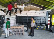 Polisi Kawal Ketat Distribusi Belasan Ton Jagung Mareje Timur ke Gudang Bulog