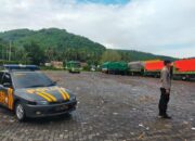 Antrean Truk Sapi di Pelabuhan Lembar Kini Nihil, Distribusi Logistik Ternak ke Pulau Jawa Makin Lancar