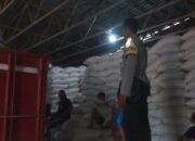 Polri Kawal Ketat 19 Ton Jagung Mareje ke Bulog, Pastikan Petani Sejahtera!