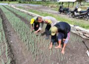 Kapolsek Sambelia Cek TKP Dugaan Pencurian di Tambak Udang Desa Dara Kunci
