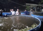 Kapolsek Terara Kunjungi Pembudidaya Ikan Bioflok di Desa Sukadana, Dukung Ketahanan Pangan