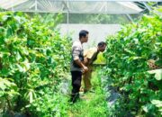 Bhabinkamtibmas Desa Bengkel Kawal Ketahanan Pangan