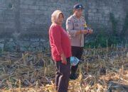 Strategi Polres Lombok Barat Sukseskan Ketahanan Pangan Lewat Aksi Nyata Bhabinkamtibmas