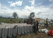 POLRES DOMPU DUKUNG KETAHANAN PANGAN, BHABINKAMTIBMAS DESA SANEO DAMPINGI PETANI JAGUNG DI WOJA