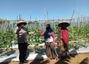 Dukung Ketahanan Pangan, Bhabinkamtibmas desa tatar dampingi warga binaan kelola Lahan Produktif