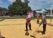 Bhabinkamtibmas Polsek Kempo Turun Langsung Bantu Petani Pasca Panen Jagung