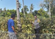 Pastikan Keamanan dan Produktivitas Petani, Bhabinkamtibmas Rhee Loka Sambangi Lahan Pertanian