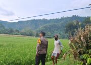 Dukung Ketahanan Pangan, Bhabinkamtibmas Desa Sampe Dampingi Petani Optimalkan Lahan Produktif