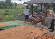 Sinergi Tanpa Batas, Cara Polsek Labuapi Pastikan Program Ketahanan Pangan Nasional Sukses dari Desa