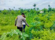 Sinergi Polsek Labuapi dan Petani Jaga Ketahanan Pangan