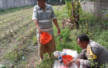 Sinergi Bhabinkamtibmas dan Petani Labuapi: Manfaatkan Lahan Pekarangan Demi Swasembada Pangan