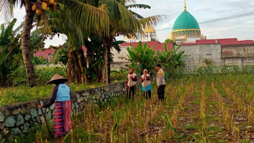 Sinergi Polsek Labuapi dan Warga Perkuat Kemandirian Pangan