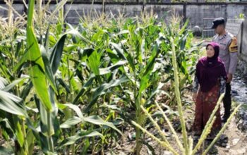 Polsek Labuapi Gerakkan Warga Sulap Lahan Kosong Jadi Sumber Pangan