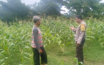 Cara Bhabinkamtibmas Desa Sandik Sukseskan Ketahanan Pangan