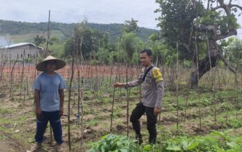 BHABINKAMTIBMAS DESA SONGGAJAH DORONG PEMANFAATAN PEKARANGAN RUMAH UNTUK DUKUNG KETAHANAN PANGAN NASIONAL