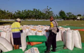 BHABINKAMTIBMAS DESA SAWE MONITORING HASIL PANEN JAGUNG WARGA, DUKUNG PENYERAPAN HASIL PANEN MELALUI BULOG
