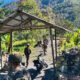 Satgas Damai Cartenz Perkuat Kedekatan dengan Warga melalui Patroli Dialogis di Talilime