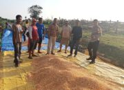 BHABINKAMTIBMAS DESA HU’U DAMPINGI PETANI JAGUNG, DUKUNG KETAHANAN PANGAN DAN KEMANDIRIAN EKONOMI WARGA