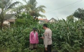 Polsek Grabagan polres Tuban Polda Jawa Timur Dukung Penuh Swasembada Pangan Presiden Prabowo Melalui Pendampingan Petani