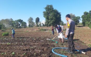 DORONG PETANI KEMBANGKAN TANAMAN TUMPANG SARI UNTUK MENINGKATKAN KETAHANAN PANGAN DAN PENDAPATAN KELUARGA