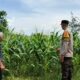 Polsek Labuapi Dorong Warga Manfaatkan Lahan Kosong